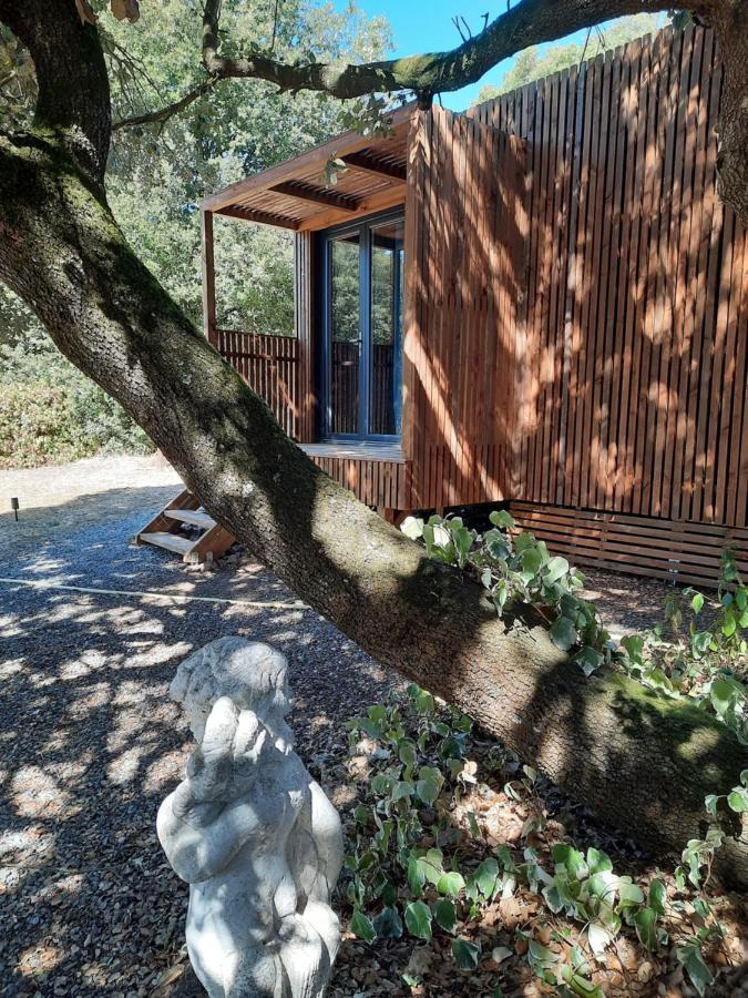 Le Lodge Des Chenes Brousses-et-Villaret Экстерьер фото